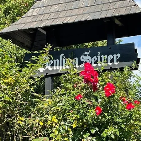 Seirer Penzion 3*