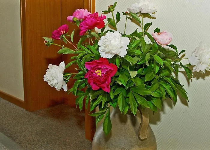 Seirer Affittacamere Sankt Radegund bei Graz